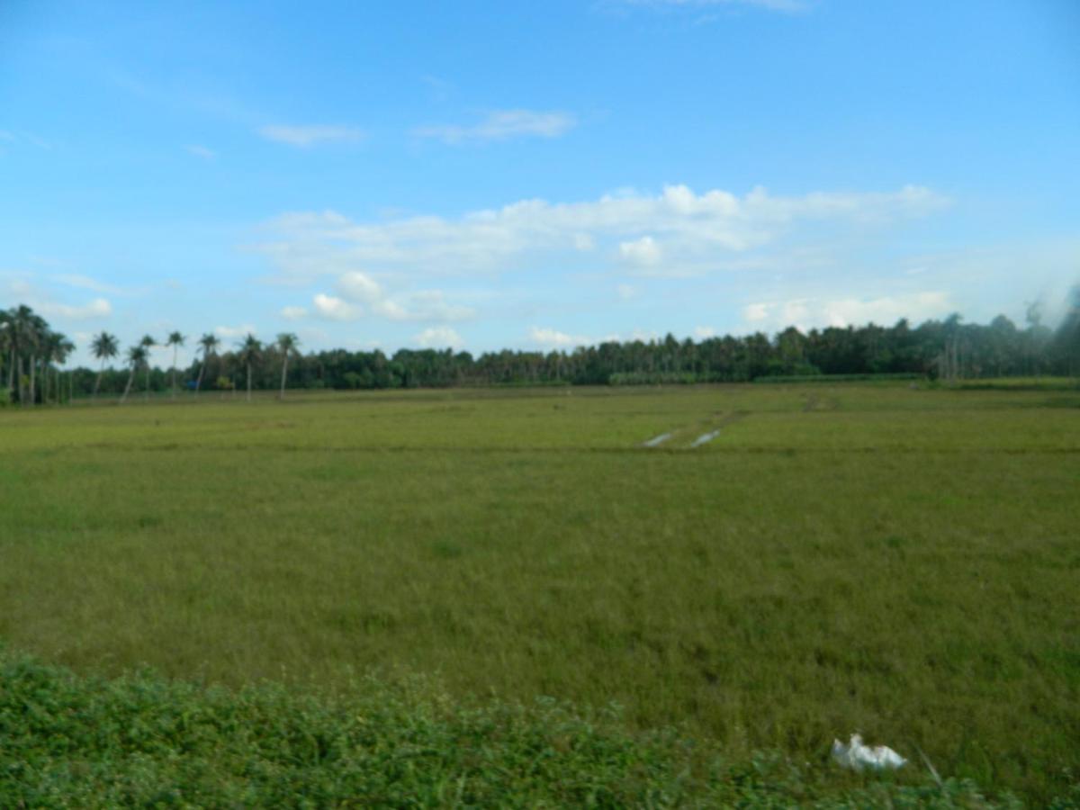 Zamaraya Bed & Breakfast Angamaly Exterior foto